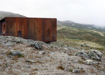 za pižmoňmi Snøhetta, Dovrefjell, Norway, Norsko